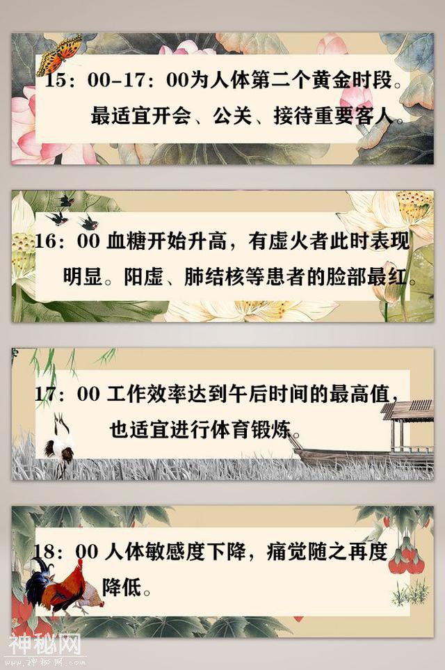 从1点-24点，该如何健康养生？快来关注一下吧-4.jpg