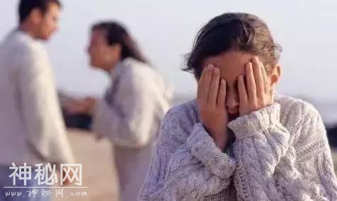一猪一绵羊和一乳牛被关在一起，还有一位医生，这两个故事火了-3.jpg