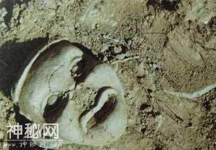 考古家这一神尿，意外尿出史前国宝，文物被永久禁止出境-3.jpg