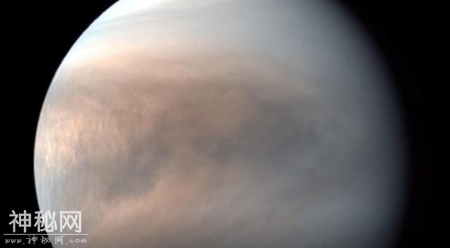 金星发现无法解释的“斑点”，科学家：可能是外星生命迹象-2.jpg