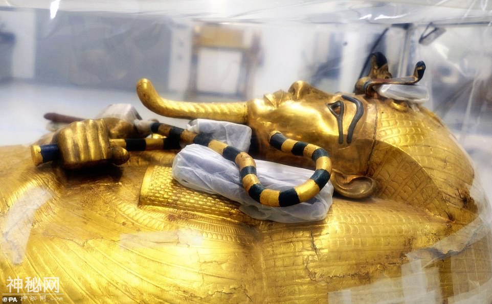 97年前发现，黄金法老的镀金外棺，终于被抬出3300年历史的古墓-1.jpg