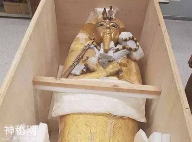 97年前发现，黄金法老的镀金外棺，终于被抬出3300年历史的古墓-6.jpg
