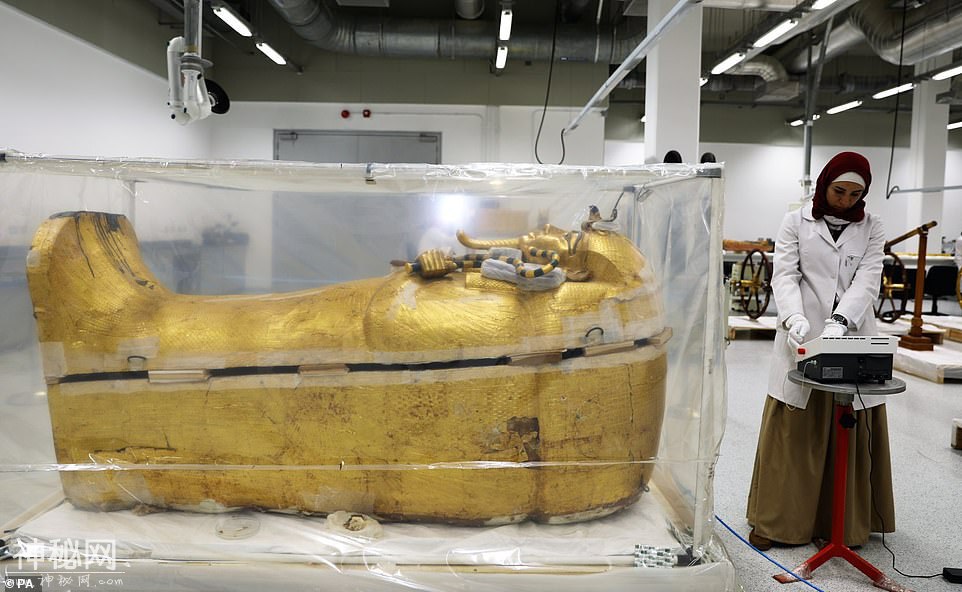 97年前发现，黄金法老的镀金外棺，终于被抬出3300年历史的古墓-2.jpg