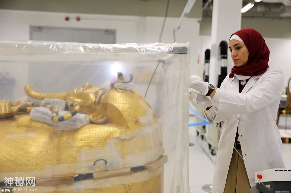 97年前发现，黄金法老的镀金外棺，终于被抬出3300年历史的古墓-4.jpg