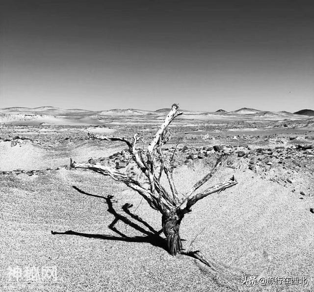 敦煌新规划的一旅游项目建成后，罗布泊穿越或成为大众化旅游路线-1.jpg