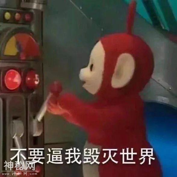 表情包 | 搞搞笑笑表情包包-2.jpg