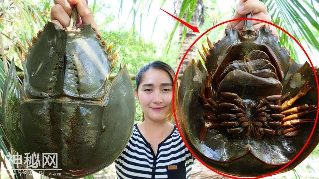 印度妹子抓住两只异种生物，头一回见这种生物，很多人都没见过-1.jpg