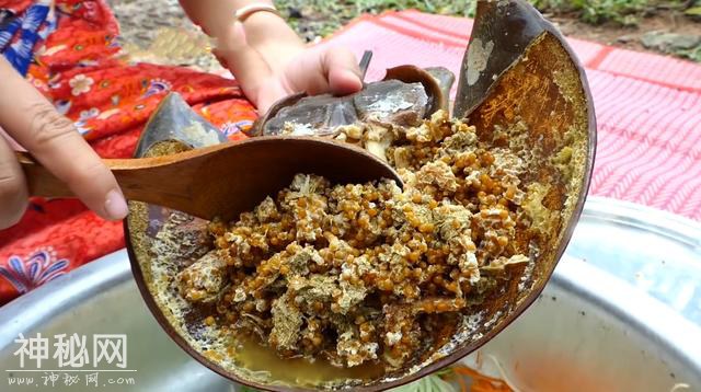 印度妹子抓住两只异种生物，头一回见这种生物，很多人都没见过-3.jpg