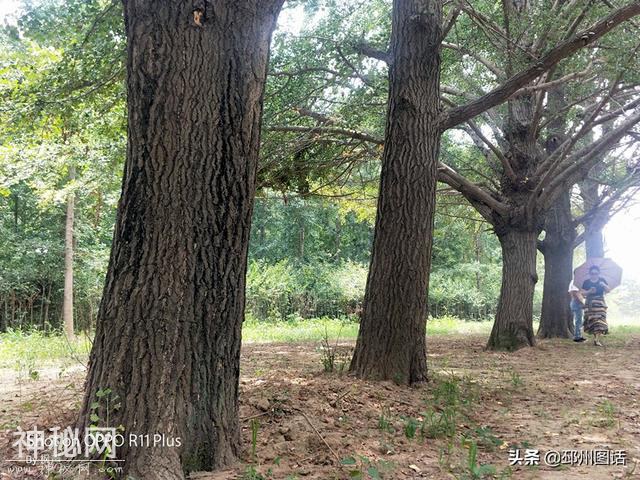 古栗园，民俗馆，沧桑岁月水木间-12.jpg