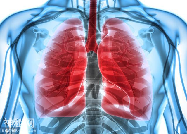 怎么分辨身体得了肺癌，身体又会出现哪些现象呢-1.jpg