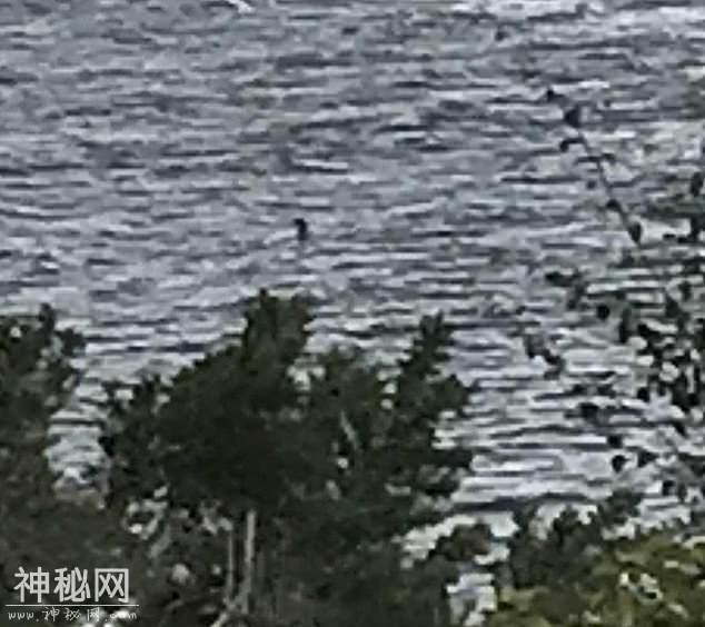 传说多年的尼斯湖水怪就是这货？科学家：湖中没有恐龙古生物基因-2.jpg