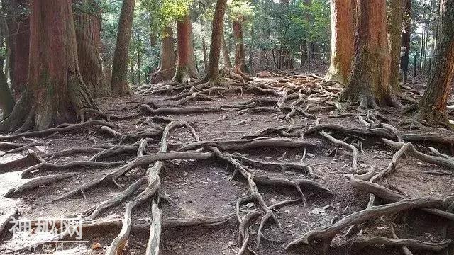 学地质=挖石头？带你初步了解地质学-9.jpg