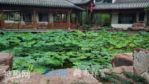 念泉！济南又一处泉水被发现-2.jpg