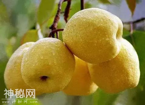 下半年好不好，就看立秋后十天怎么养！吃蜜不吃姜，吃果不吃瓜-3.jpg