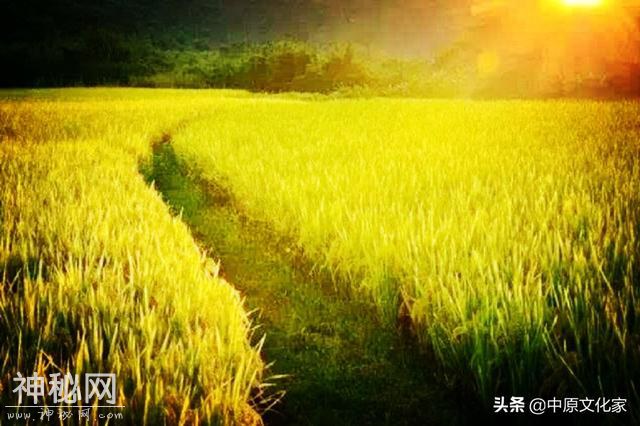 立秋之后，除了贴秋膘、咬秋、摸秋等习俗外，还有哪些传统风俗-1.jpg