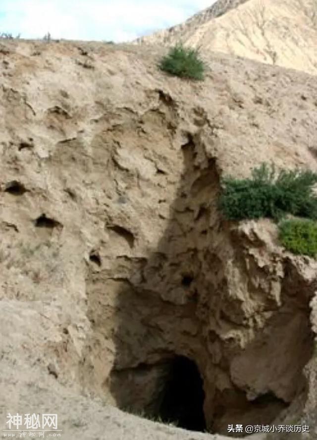 战国一古墓被发现，9个盗洞下是50多具尸骸，专家：庆幸活着出-8.jpg