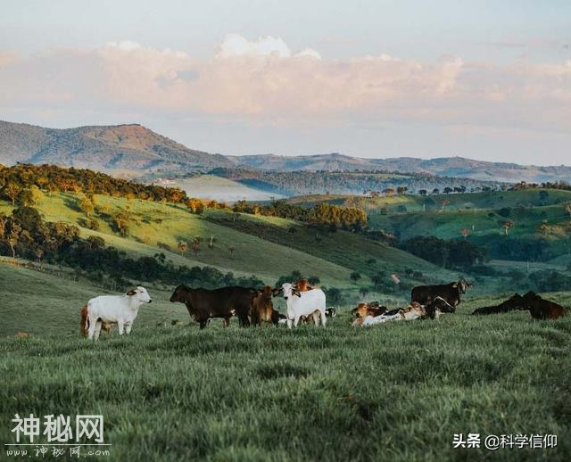 病毒不算是生物，只能算是一种类生物体，但却是地球不能缺少的-2.jpg