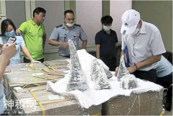 越南走私野生动物泛滥！3男子冷冻7只老虎幼崽，藏在汽车内被抓获-3.jpg