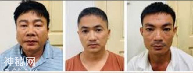 越南走私野生动物泛滥！3男子冷冻7只老虎幼崽，藏在汽车内被抓获-2.jpg