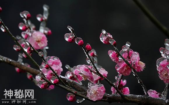 每天了解一种自然现象-冻雨-3.jpg