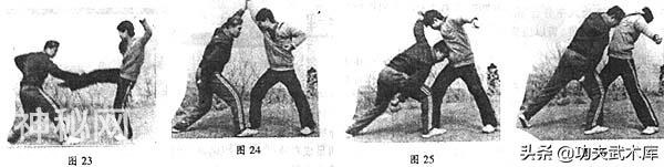 三皇炮捶拳绝技-夫子三拱手，近身靠打、直取要害、连环出击-5.jpg