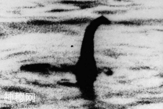 尼斯湖水怪千年之谜揭开？科学家：传说中的怪物或为巨型鳗鱼-1.jpg