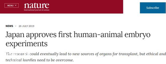 领域的颠覆，日本最疯狂的举动，批准人类-动物胚胎实验-1.jpg