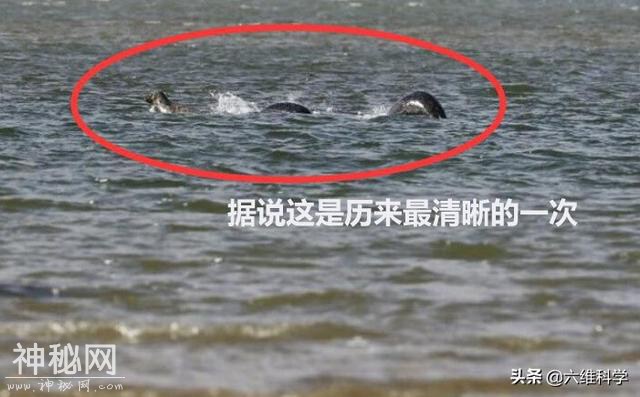 尼斯湖水怪之谜揭晓？科学家新发现：或是一条巨型的鳗鱼-6.jpg