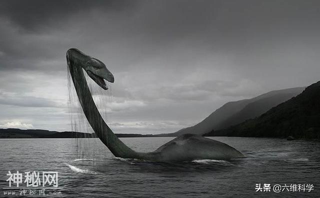 尼斯湖水怪之谜揭晓？科学家新发现：或是一条巨型的鳗鱼-3.jpg