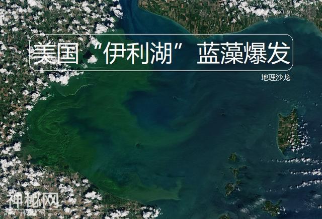 美国“伊利湖”蓝藻大规模爆发，为什么夏季经常会发生水华现象？-1.jpg