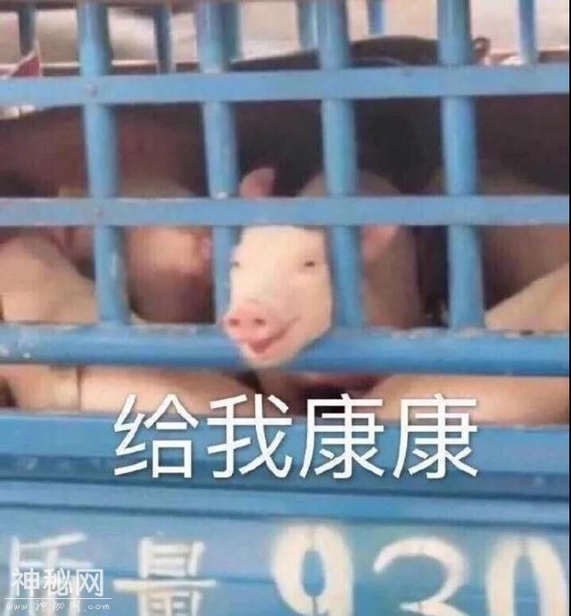 美妆UFO丨李圣经的bling“星唇”可是我等凡人能驾驭的厉害招数？-20.jpg