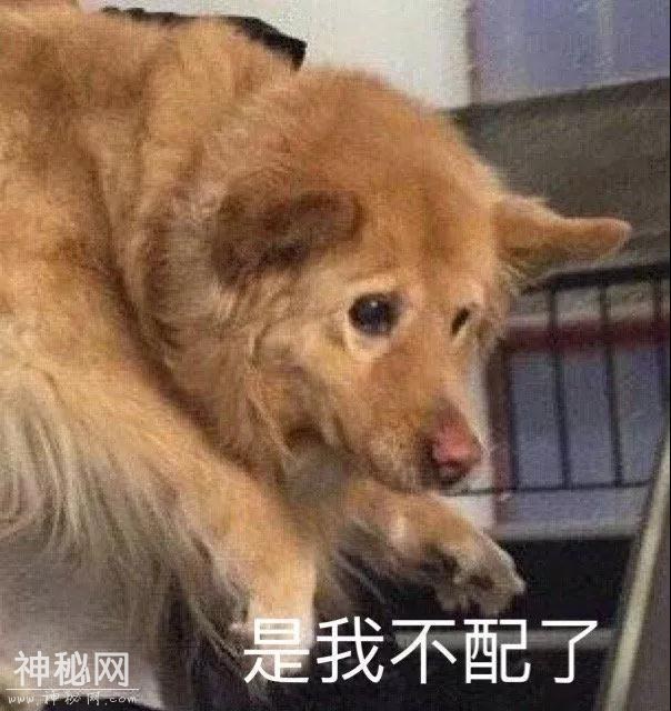 美妆UFO丨李圣经的bling“星唇”可是我等凡人能驾驭的厉害招数？-17.jpg