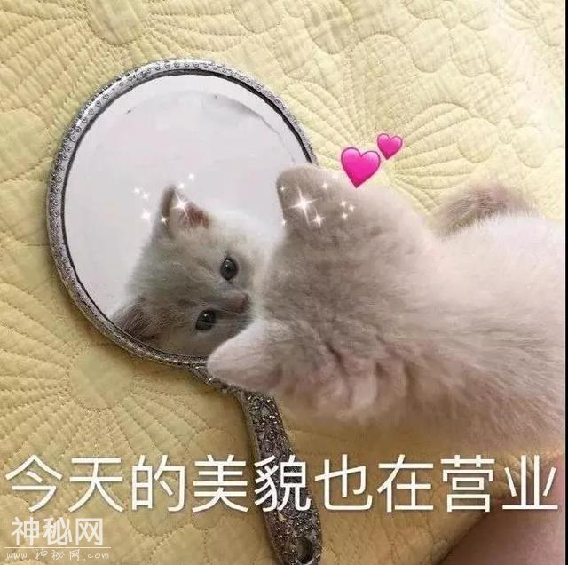 美妆UFO丨李圣经的bling“星唇”可是我等凡人能驾驭的厉害招数？-33.jpg
