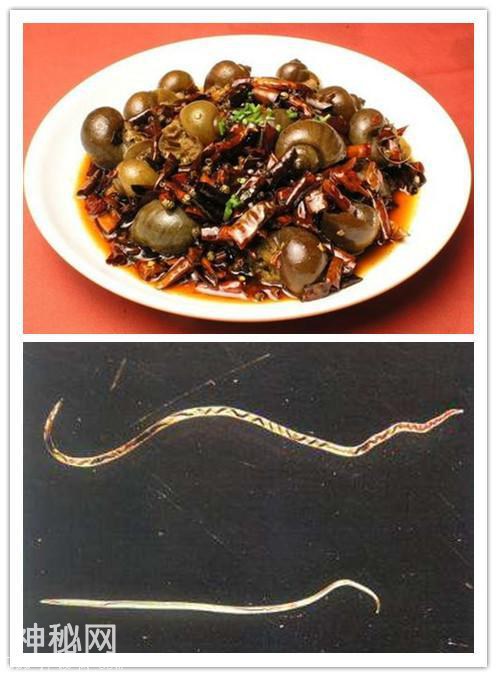 夜市烧烤真的“很脏”，这些细菌寄生虫，一不小心就被你吃下去了-2.jpg