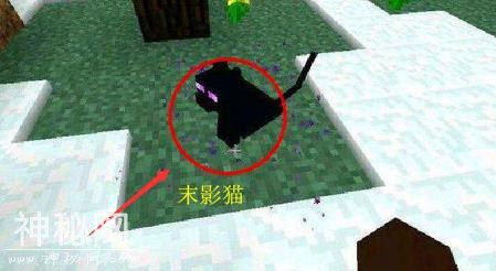 我的世界：游戏中最神秘的五种生物 熊猫个性鲜明难道是人工AI？-4.jpg