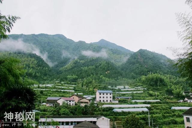 避暑纳凉、赏景过节！龙南乡上兴村民俗活动乡情浓厚-4.jpg