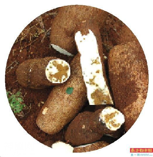 用高科技喂饱地球人-3.jpg