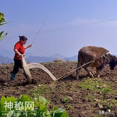 奇人异事：一个只有眼泪的真实故事，清代第一女词人贺双卿-7.jpg