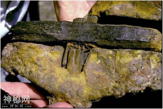 考古发现3亿年前“铁锤”，科学家怀疑地球文明在不断轮回-5.jpg
