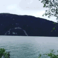 最新消息！尼斯湖水怪，竟是它？-1.jpg