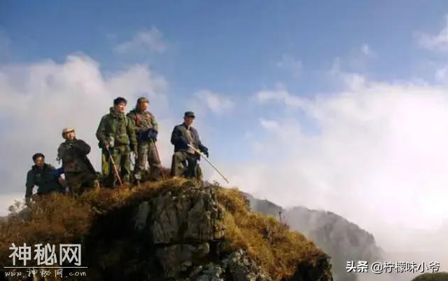中美合拍《大脚印》：“神农架野人”都救不了这部电影-7.jpg