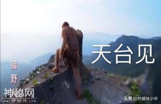 中美合拍《大脚印》：“神农架野人”都救不了这部电影-5.jpg