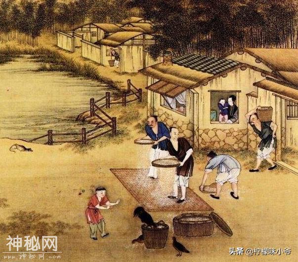 中美合拍《大脚印》：“神农架野人”都救不了这部电影-13.jpg