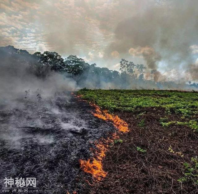 国产恐怖片有它一半好，观众都能笑醒-20.jpg