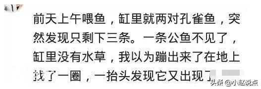 你相信有平行宇宙吗？网友：99年的事情，你们都忘记了？-3.jpg