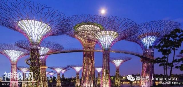 新加坡这些建筑都是从外星来的吧？感觉住在科幻片里-15.jpg