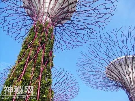 新加坡这些建筑都是从外星来的吧？感觉住在科幻片里-19.jpg