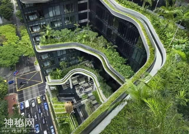 新加坡这些建筑都是从外星来的吧？感觉住在科幻片里-37.jpg