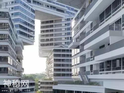 新加坡这些建筑都是从外星来的吧？感觉住在科幻片里-49.jpg