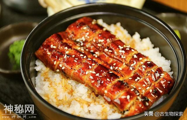 科学家揭开尼斯湖水怪的真实面目-16.jpg